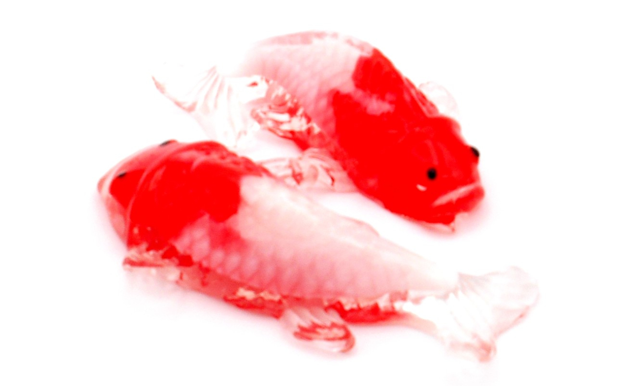 スクイーズ（金魚）